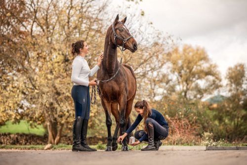 Hoof oil with brush Bense & Eicke 500 ml