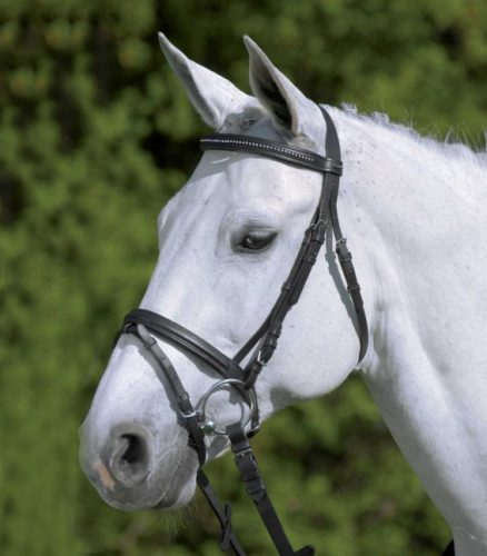 Bridle Star Diamond + reins pony black