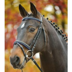 Kantár Star Diamond cob kék