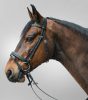 Bridle Star Diamond + reins cob green