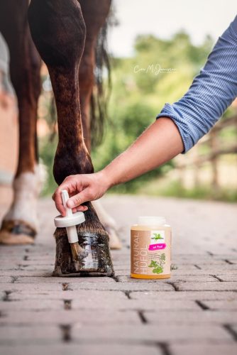Hoof oil with brush Bense & Eicke Natural 500 ml