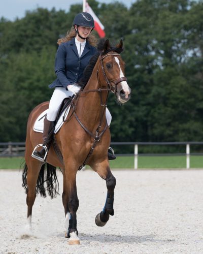 Show jacket QHP Novén women's 38 navy