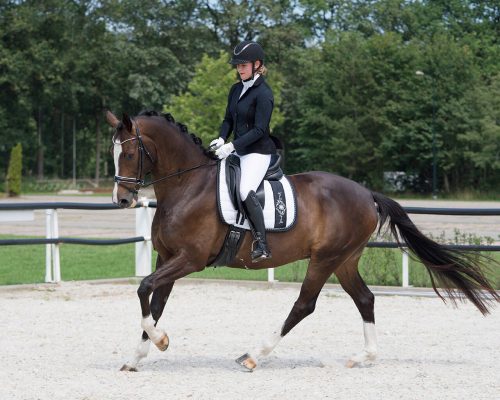 Show jacket QHP Novén women's 36 black