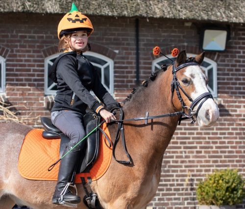 Kobakra védőhuzat QHP Halloween Pumpkin