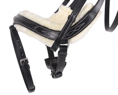 Bridle QHP Ontario full black