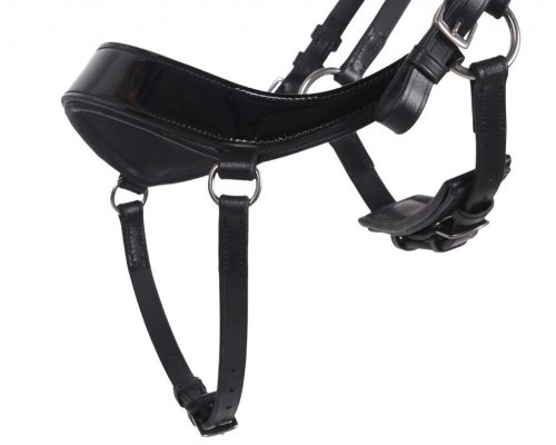 Bridle QHP Eris full black