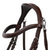 Bridle Salerno QHP cob brown