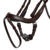 Bridle Salerno QHP cob brown