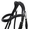 Bridle Salerno QHP cob black