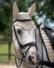 Bridle Salerno QHP cob black