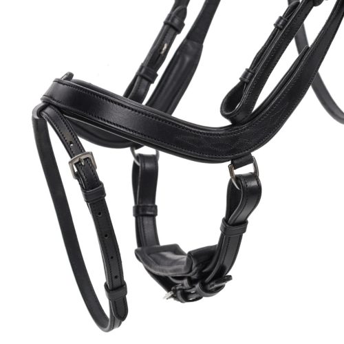 Bridle Salerno QHP full black