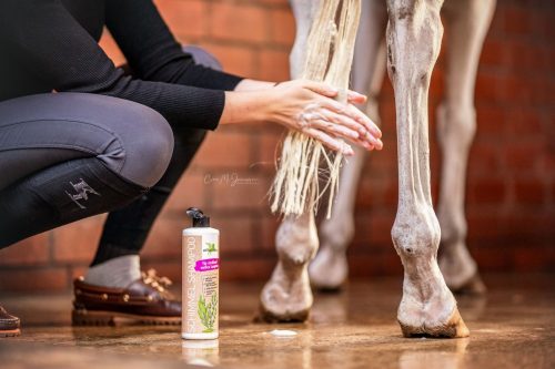 Shampoo Bense & Eicke White Horse herbal 500 ml