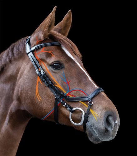 Bridle X-Line Relaxation full black