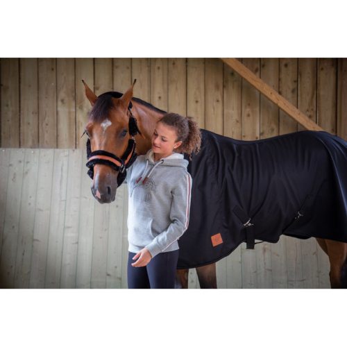 Hoodie L grey Penelope Kathya