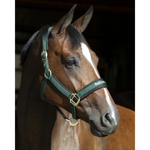 Halter Werano Back on Track pony black