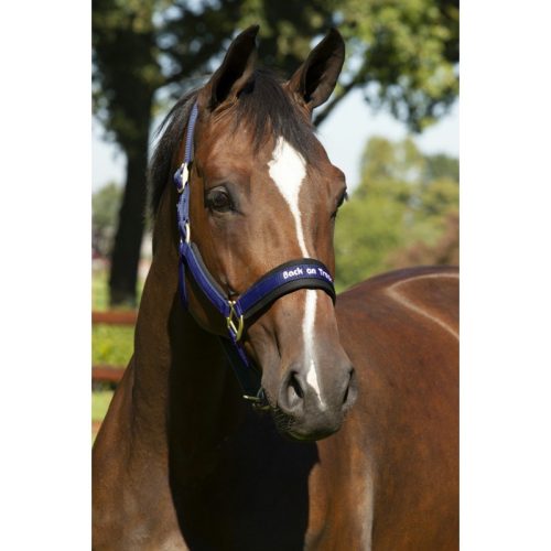 Halter Werano Back on Track cob black