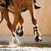 Tendon boots Back on Track Airflow fur lined L black