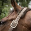 Halter Haze Back on Track cob grey