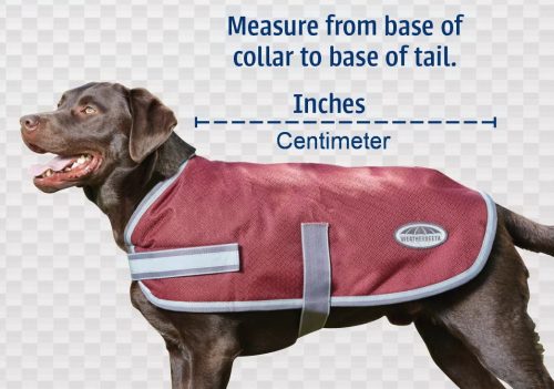 Rug dog BOT Haze 25 cm grey