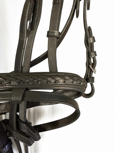 Bridle, braided w/ web reins