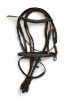 Bridle, braided w/ web reins