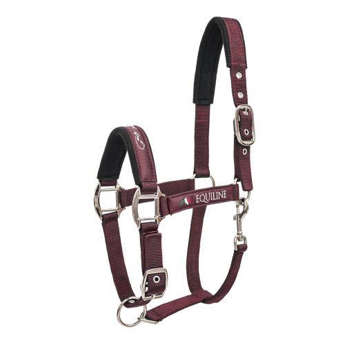 Halter Equiline Timmy cob emerald