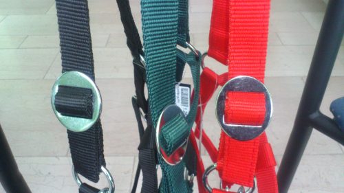 Halter Shetland pony H13