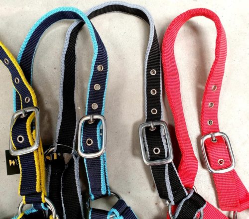 Halter HET1 polypropylene pony navy/light blue