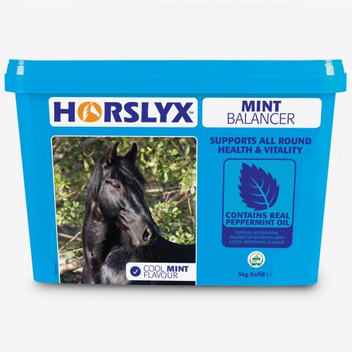 Horslyx normál Mint 5 kg