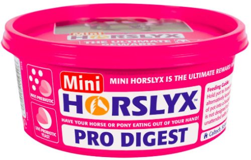 Horslyx Mini Pro Digest 650g