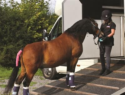 Horslyx normal Respiratory 5kg