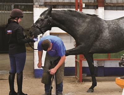 Horslyx normal Respiratory 5kg