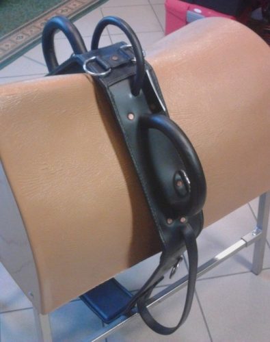 Vaulting surcingle leather full black