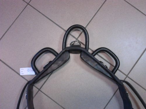 Vaulting surcingle leather shetland black