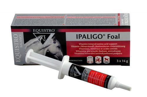 Equistro Ipaligo Foal 3x14 g