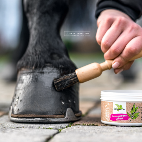 The right hoof care + how to avoid mud fever